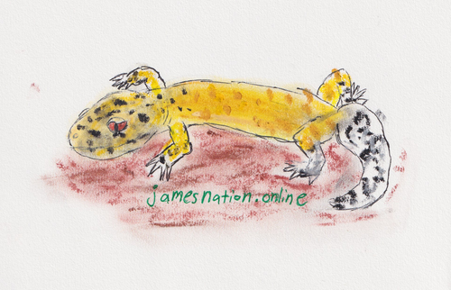 Sticker - Marshall the Leopard Gecko