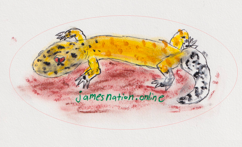 Sticker - Marshall the Leopard Gecko